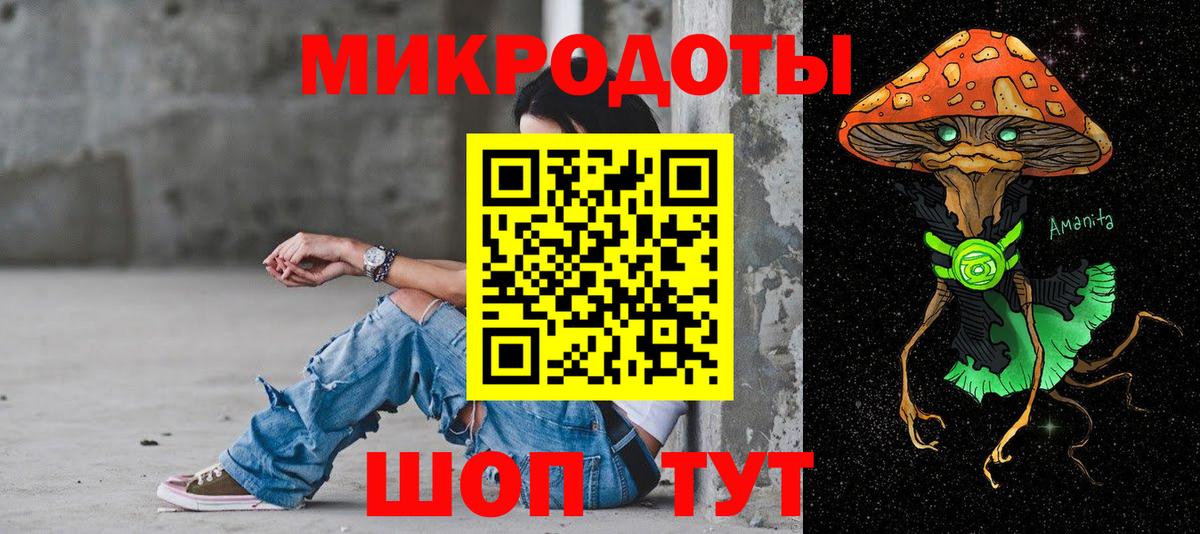 Псилоцибиновые грибы прущие грибы Нарткала
